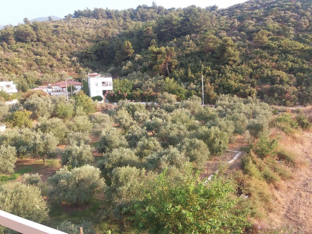 Guzelcamlı Zeus Apart Pansiyon מראה חיצוני תמונה